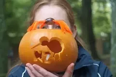 NZ Pumpkin